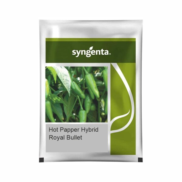 SYNGENTA HOT PEPPER ROYAL BULLET (1500 SEEDS)