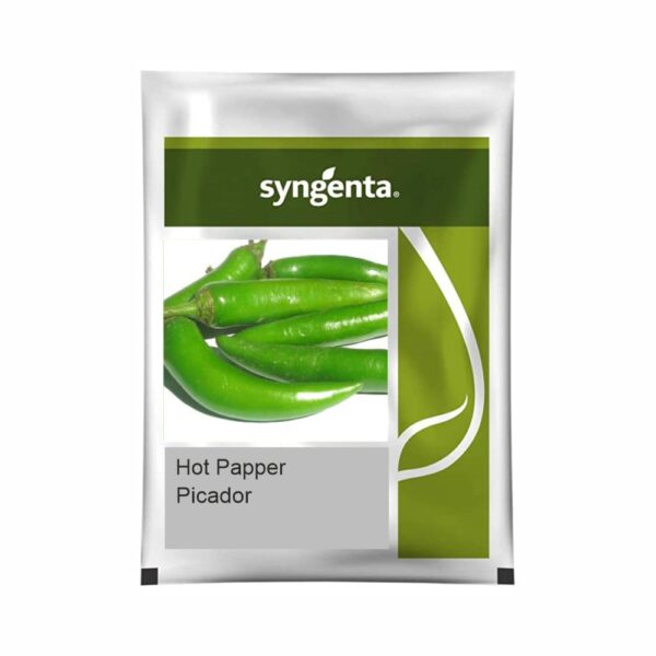 SYNGENTA HOT PEPPER Picador (1500 SEEDS)