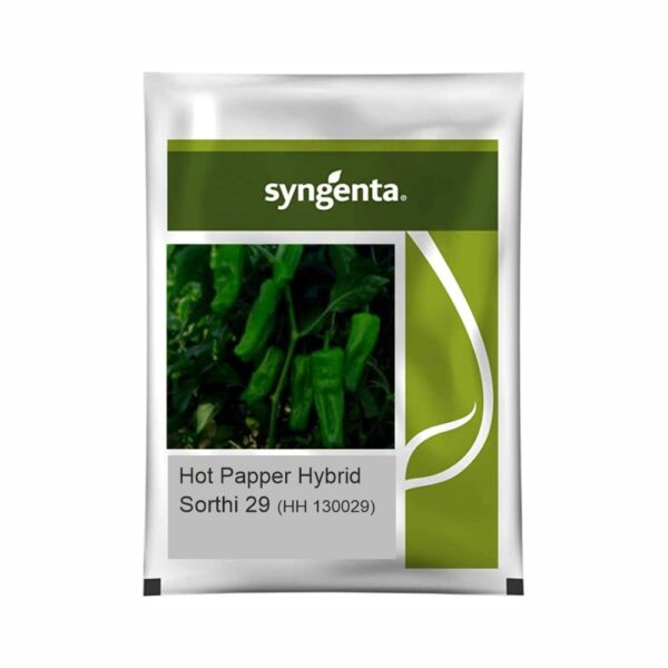 SYNGENTA HOT PEPPER Sorathi 29 HH 130029 (1500 SEEDS)
