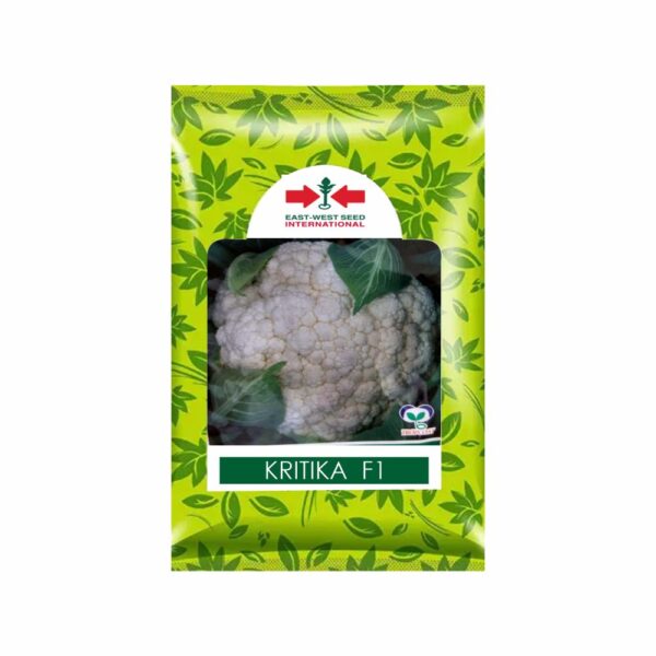 East-West CAULIFLOWER Kritika (10 GM)