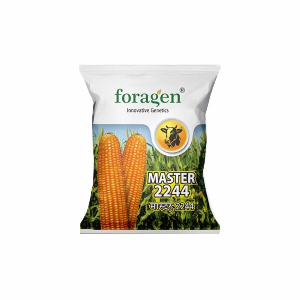 FORAGEN MASTER 2244 (4 KG)