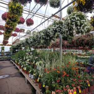 Loan for Nursery Unit Horticulture Crop