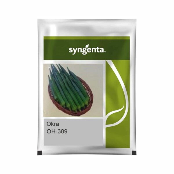 SYNGENTA OKRA OH-389 (250 g)