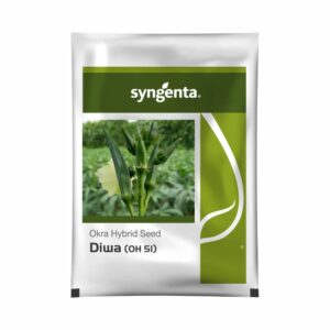 SYNGENTA okra hybrid seeds diwa (oh 51) (250 gm)