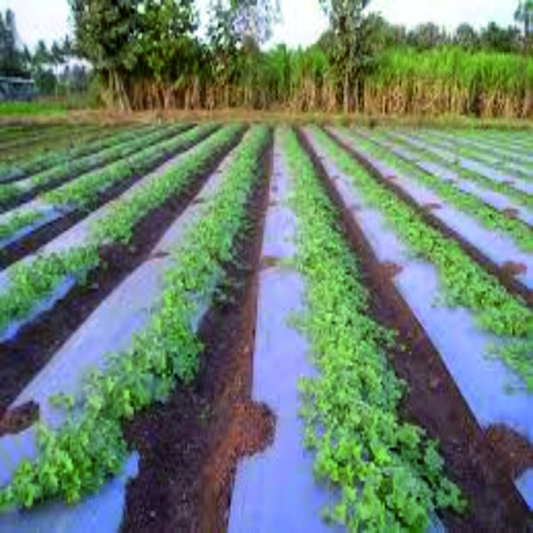 IRIS Mulch Film prime (with warranty) (1 Meter X 400 Meter)