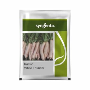 SYNGENTA RADISH WHITE THUNDER (250 g)