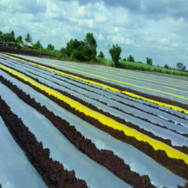 IRIS Shed net 1-6 mtr X 75% x 50 mtr X 100 GSM (RATE PER SQ. MTR.)