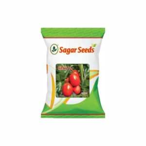 Sagar SHIVA (OVAL) F-1 Hybrid TOMATO Seeds (10 gm)