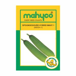 mahyco SPONGEGOURD HY.MAHY 1 (MSGH-1)  50 GM