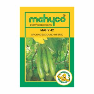 mahyco SPONGEGOURD HY.MAHY 42 (NO.42)  50 GM