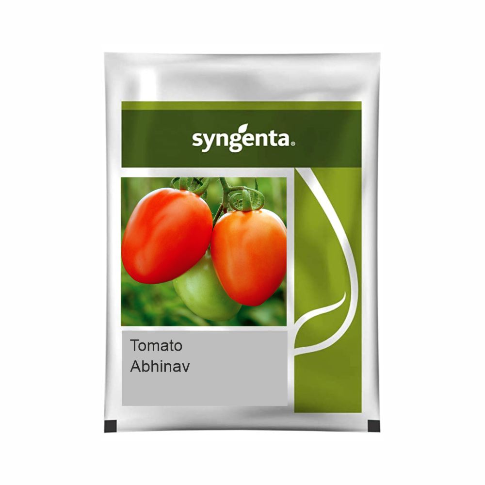 SYNGENTA TOMATO ABHINAV (20000 SEED)