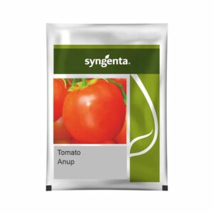 SYNGENTA TOMATO ANUP (3500 SEED)