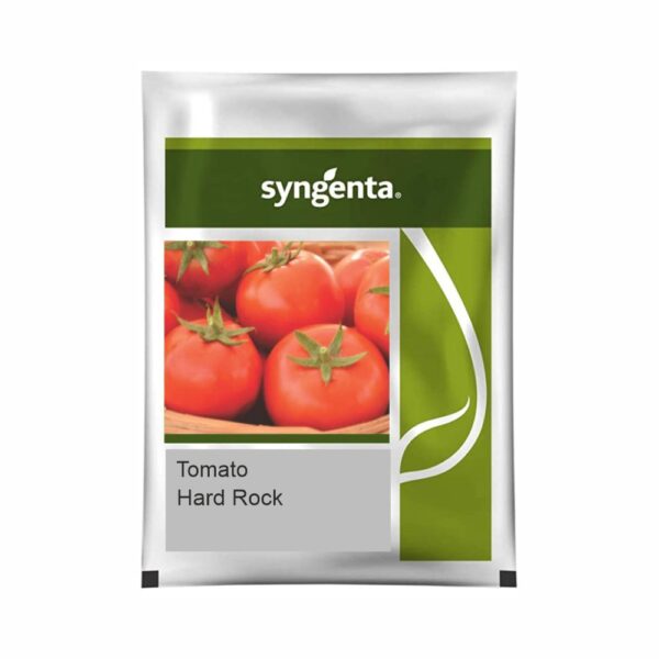 SYNGENTA TOMATO Hard Rock (3000 SEED)