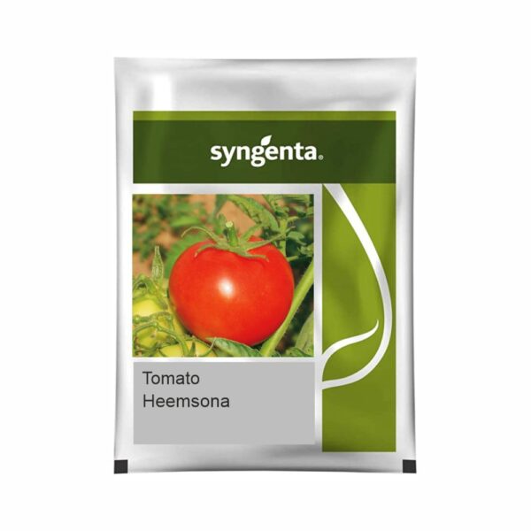 SYNGENTA TOMATO HEEMSONA (3500 SEED)
