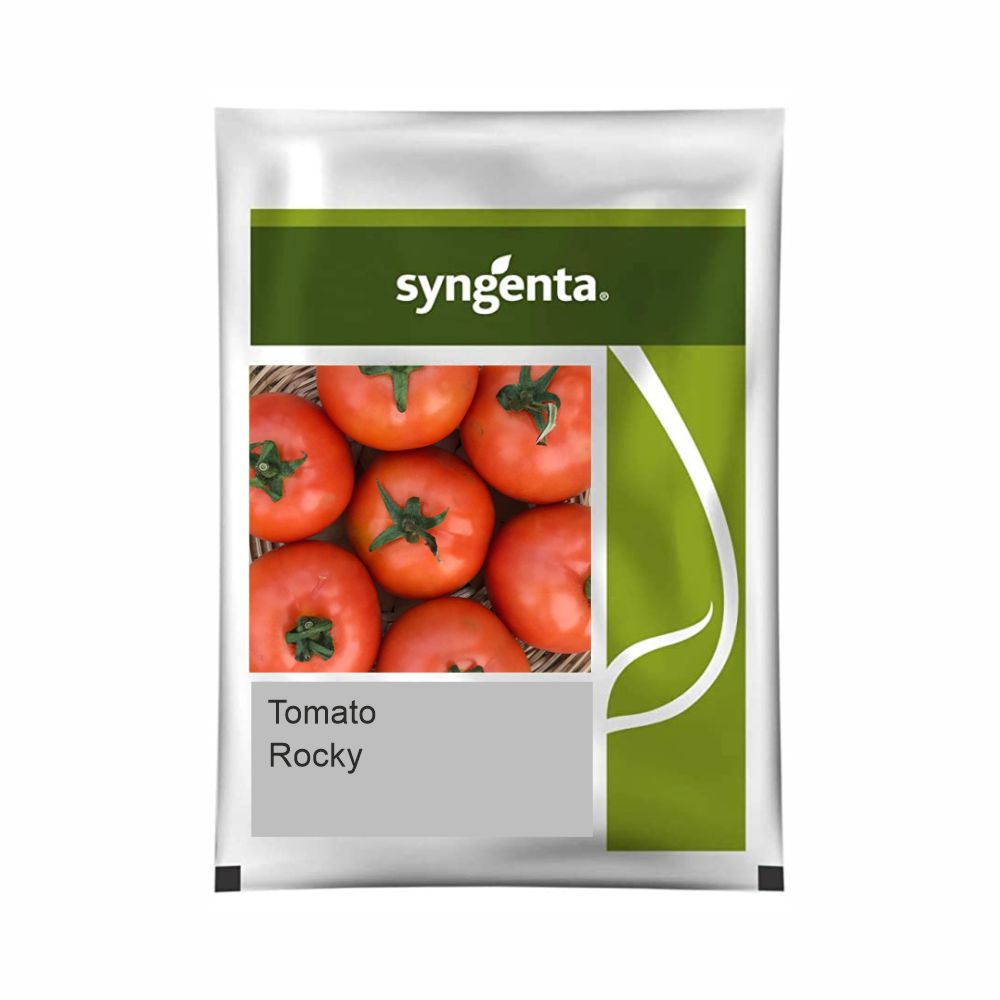 SYNGENTA TOMATO  Rocky  (3000 SEED)
