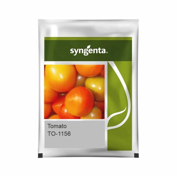SYNGENTA TOMATO  TO-1156 (3000 SEED)