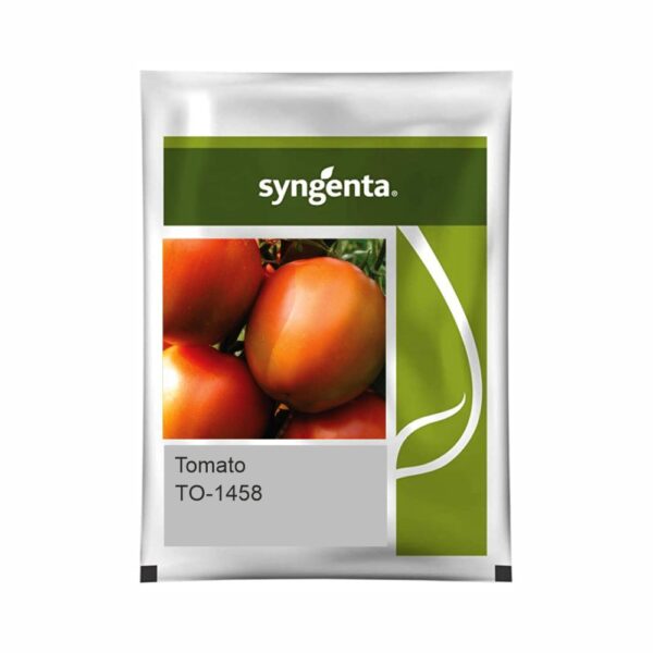 SYNGENTA TOMATO TO-1458 (4000 SEED)