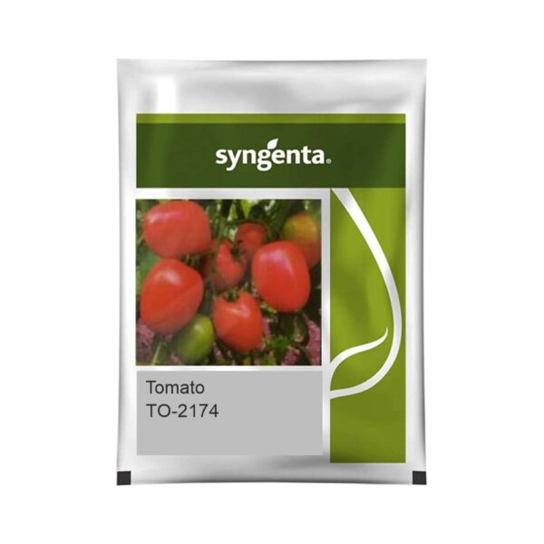 SYNGENTA TOMATO  TO-2174 (20000 SEED)