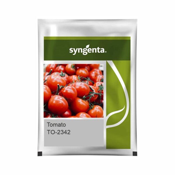 SYNGENTA TOMATO  TO-2342  (3000 SEED)