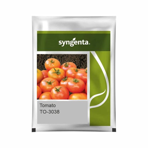 SYNGENTA TOMATO  TO-3038 (3000 SEED)