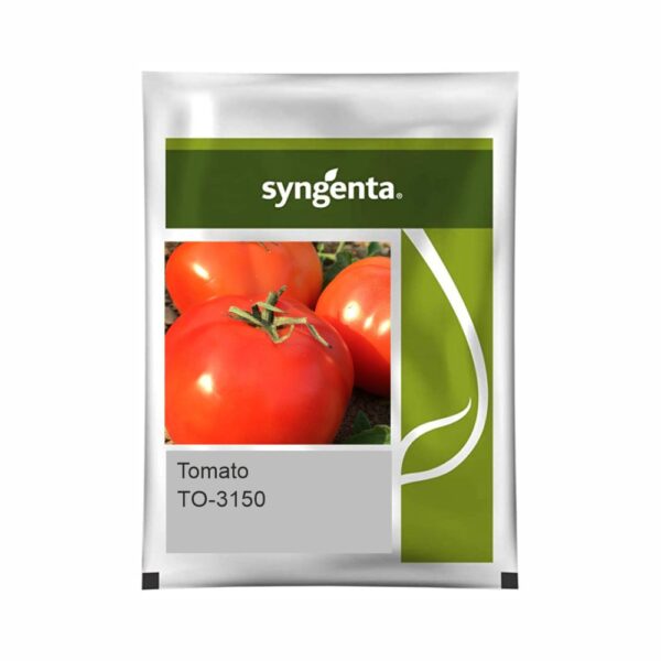 SYNGENTA TOMATO  TO-3150 (3000 SEED)