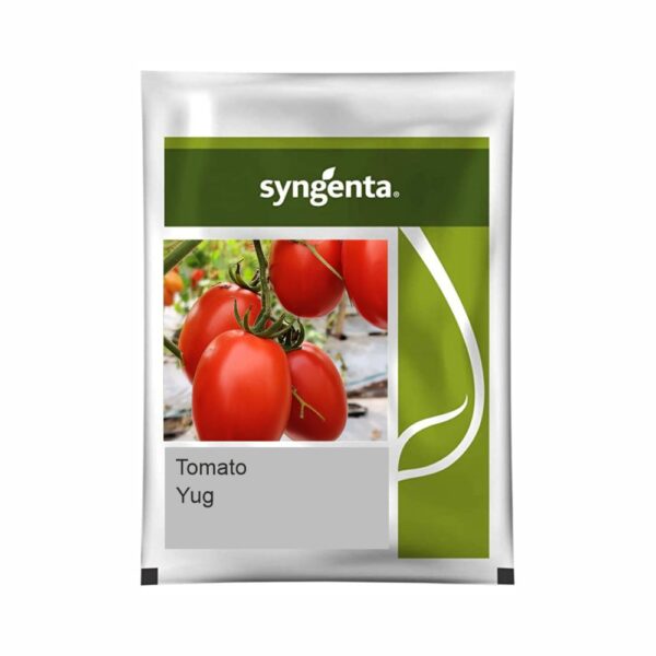 SYNGENTA TOMATO  YUG (3000 SEED)