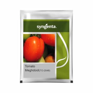 SYNGENTA TOMATO Meghdoot TO-2048 (3500 SEED)