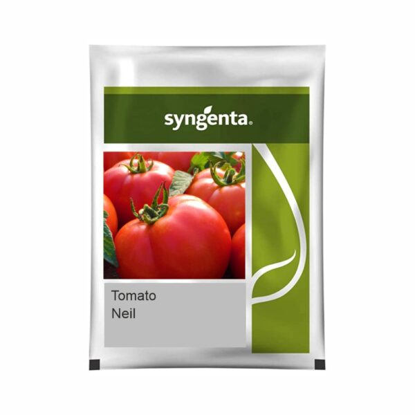 SYNGENTA TOMATO NEIL (3000 SEED)