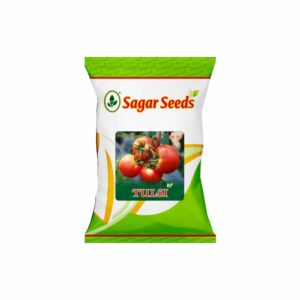 Sagar TULSI(ROUND) F-1 Hybrid TOMATO Seeds (10 gm)