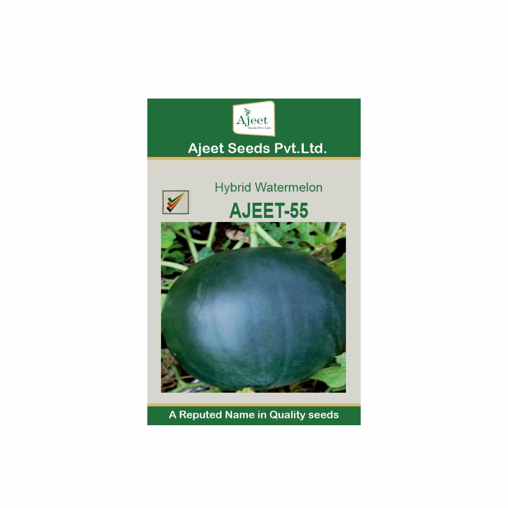 AJEET HYBRID WATERMELON - 55  (50 GM)