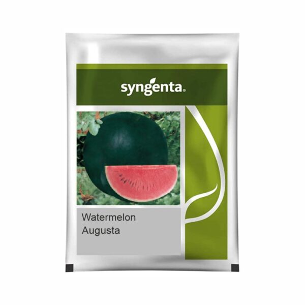 SYNGENTA WATERMELON AUGUSTA (800 SEEDS)