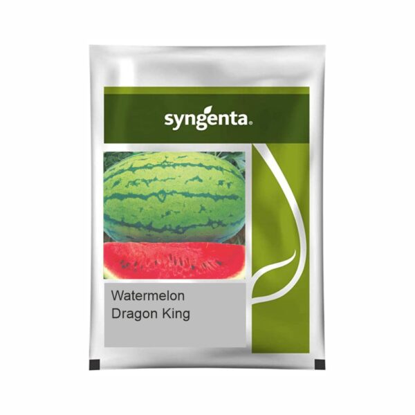 SYNGENTA WATERMELON DRAGON KING (50 gm)