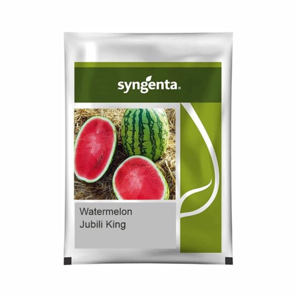 SYNGENTA WATERMELON Jubili King (1000 SEED)