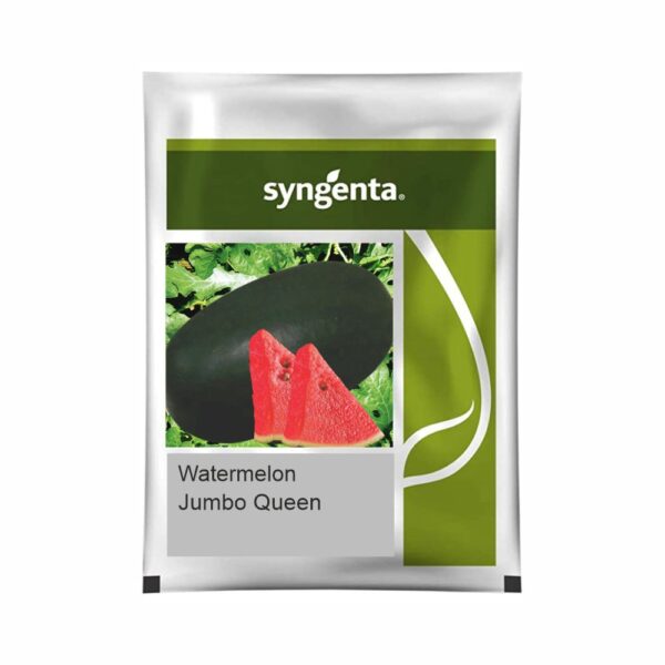 SYNGENTA WATERMELON Jumbo Queen (50 gm)