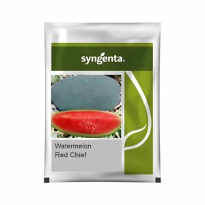 SYNGENTA WATERMELON Red Chief (1000 SEED)