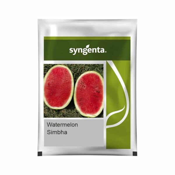 SYNGENTA WATERMELON SIMBHA (1000 SEED)