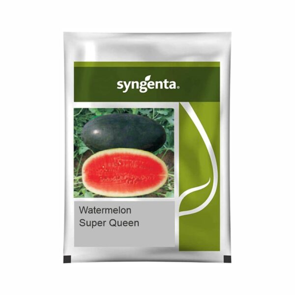 SYNGENTA WATERMELON SUPER QUEEN (20000 SEED)