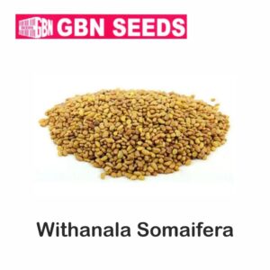 GBN Withania somnifera (Ashwagandha) seeds (1 KG)(pack of 10)